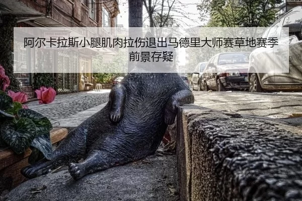 a-er-ka-la-si-xiao-tui-ji-rou-la-shang-tui-chu-ma-de-li-da-shi-sai-cao-di-sai-ji-qian-jing-cun-yi-1-590.jpg